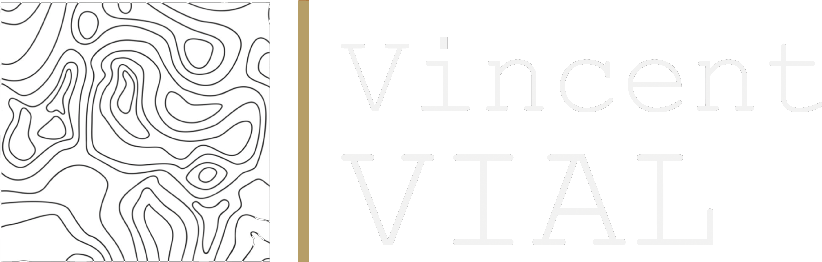 Dr Vincent Vial